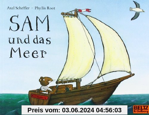 Sam und das Meer: Bilderbuch (MINIMAX)